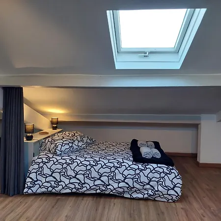 Loft Cosy Centre Διαμέρισμα *